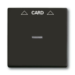Лицевая панель ABB Basic55 выключателя карточного chateau-черный 2CKA001710A3933