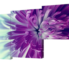 Модульная картина Фиолетовые астры Toplight 150х75см TL-M2058